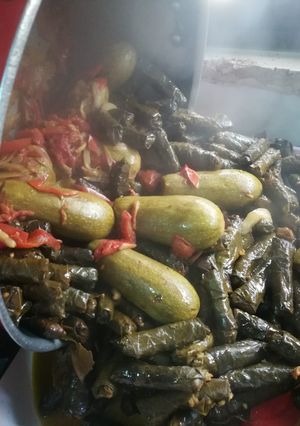 صورة لوصفة دوالي وكوسا