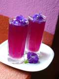 Butterfly pea Flowers Magical Tea