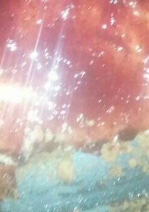 صورة لوصفة اتشيز كيك حبي♡