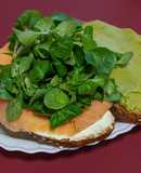 Sándwich del día