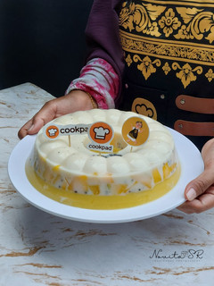 Foto resep Puding Mangga Susu