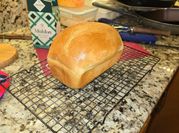 A picture of steamed sandwich