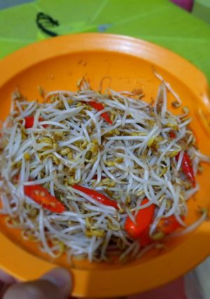 Foto resep Cah Tauge bumbu bawang