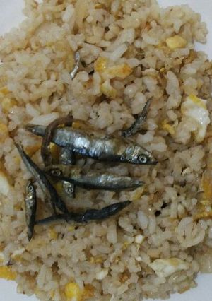 Foto resep Nasi Goreng Soo Simple alias Sederhana