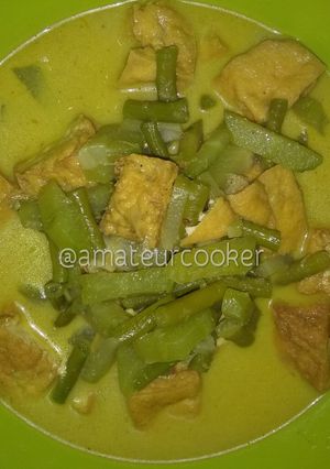 Foto resep Opor Sayur & Tahu