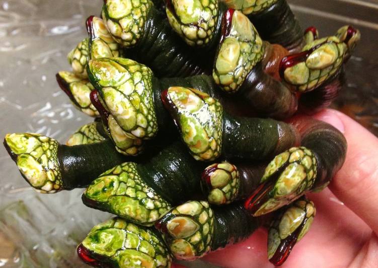 Steps to Prepare Quick Percebes (Goose Neck Barnacles)
