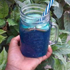 A picture of Blue Hawaii.