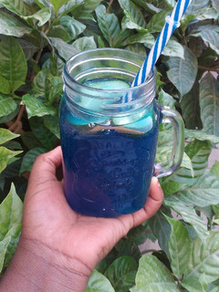 A picture of Blue Hawaii.