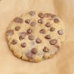 A picture of Cookie.