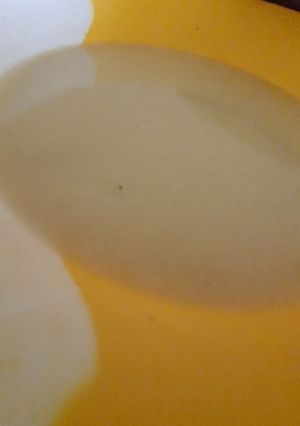 صورة لوصفة شوربه قرع بخلاصة العظام