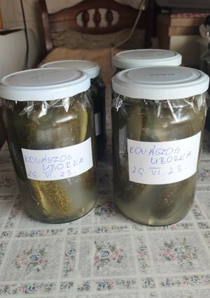 1958. Kovászos uborka télire! recept fotója