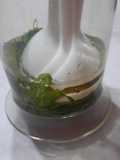 Pesto de rúcula rápido mixeado