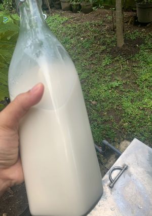 Foto resep Activated Raw almond milk