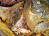 Ikan nila masak kuning