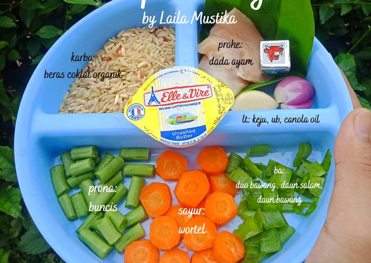 37 - MPASI Nayl Menu Lengkap (Beras Coklat, Dada Ayam, Wortel)