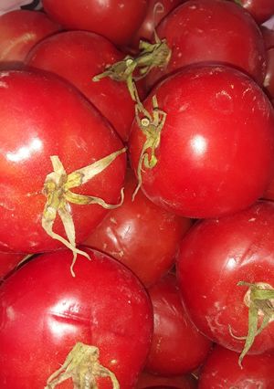 عکسی از دستور کنسرو گوجه فرنگی 🍅