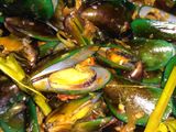 Kerang hijau bumbu spesial