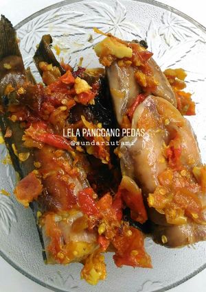 Foto resep Lele Panggang Bumbu Pedas (Teflon)