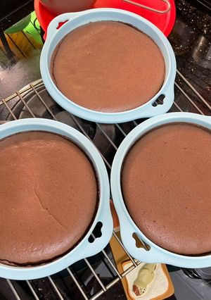 可可戚風蛋糕（蛋糕片） 的食譜成品照片