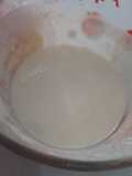 Yogurt Plain