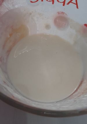 Foto resep Yogurt Plain