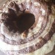Torta cebra