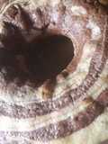 Torta cebra