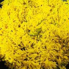 Moongi masoor khichdi-レシピのメイン写真