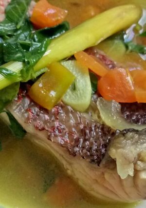 Foto resep Sup ikan kakap merah non MSG