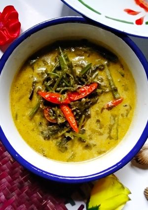 Foto resep Sayur pakis(kelakai) kuah santan