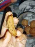 Biskut Coklat versi Baby 1y+