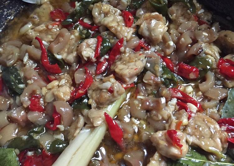 RECOMMANDED! Resep Tumis tempe kikil pedas