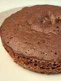 Bolo de chocolate de microondas
