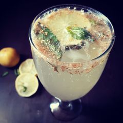 A picture of SHIKANJI 🍸.