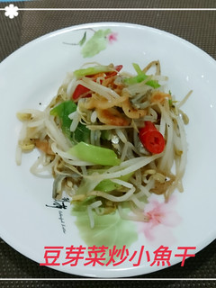 豆芽菜炒小魚干(簡單料理) 的食譜成品照片