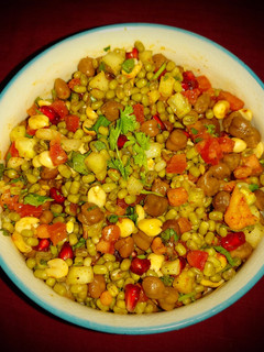 પ્રોટીન બૂસ્ટર સલાડ (Protein Booster Salad Recipe In Gujarati) રેસીપી મુખ્ય ફોટો