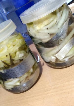 Фото Замаринованная селёдка в масле, очень вкусная.