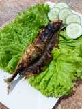 Ikan Salem Bakar