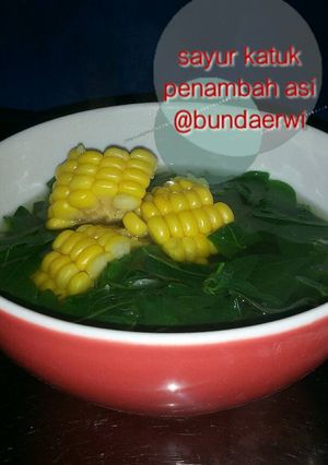 Foto resep Sayur katuk penambah ASI