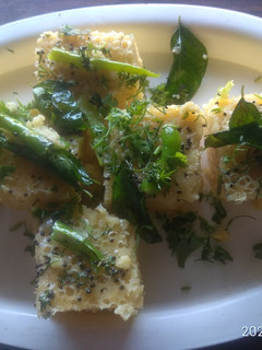 खमण ढोकळा (khaman dhokla recipe in marathi) रेसिपी चे मुख्य फोटो