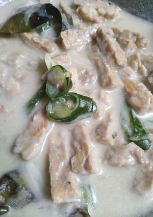 Foto resep Jangan lombok tempe