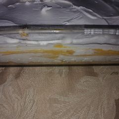 A picture of Pumpkin torte.