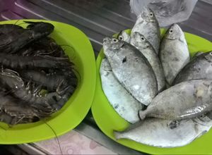Foto resep Bawis Gammi khas Bontang