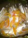 Belanak Betuup Bedaun