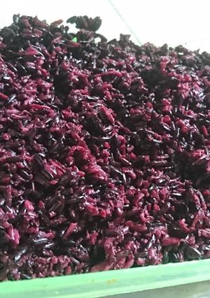 Foto resep Tape ketan hitam
