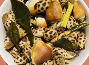 Hình của món Ốc nhảy và ốc hương luộc sả và lá quýt.