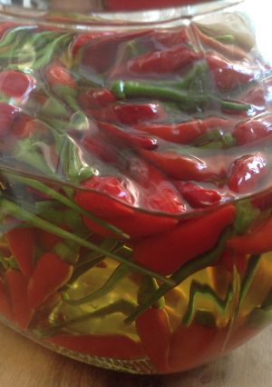 A picture of Kanthari (bird's eye chilli) infused olive oil.