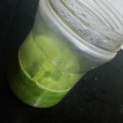 A picture of Green Chilli Paste.