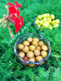عکسی از دستور ترشی گوجه سبز