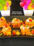 Dabeli Bruschetta - Kutchi Dabeli Fusion Crunchy Bites - Welcome NY2026 - My First Dish Of 2026